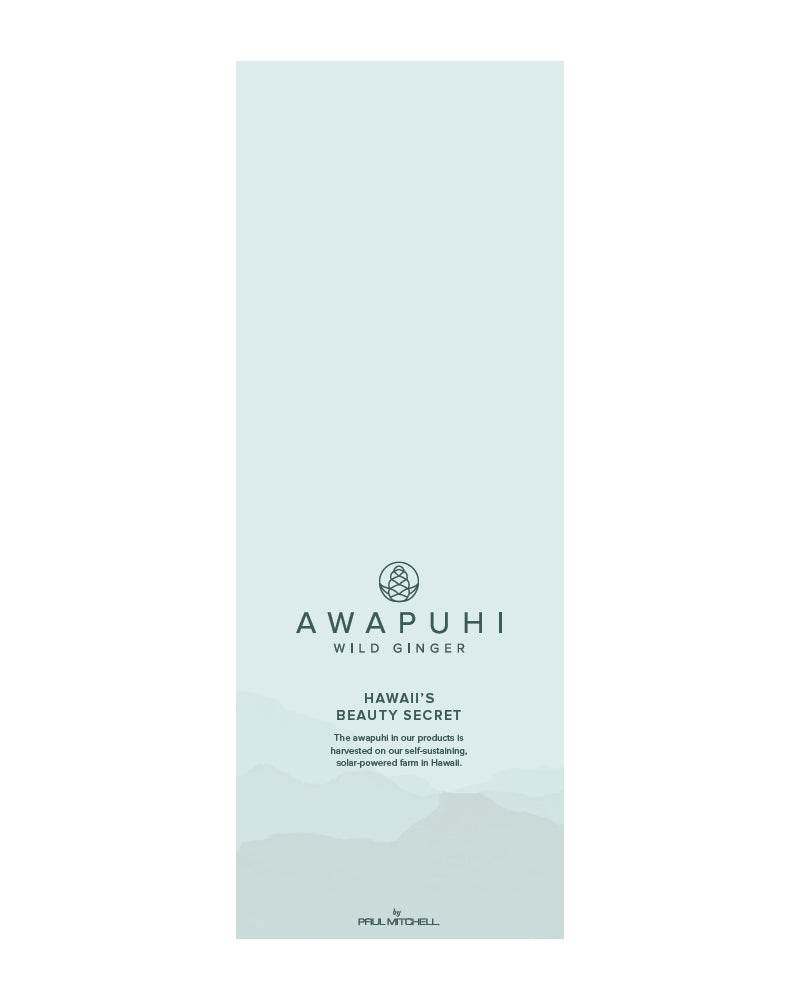 F1946_AWG Hyllypuhujat 4kpl.PNG