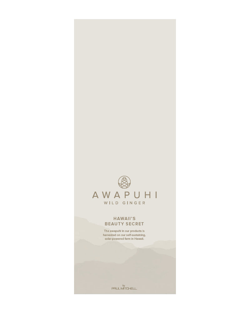 F1949_AWG Hyllypuhujat 2kpl.PNG
