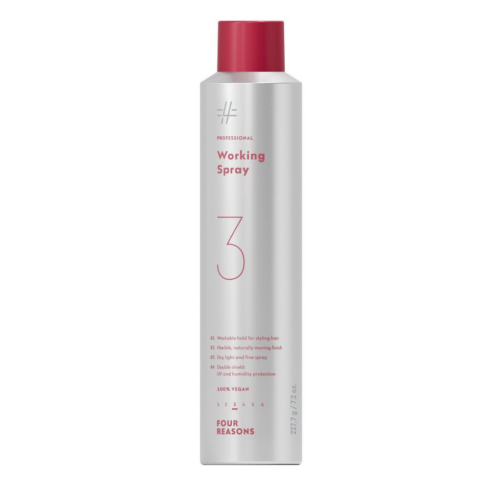 A4510_FR_Professional_Working Spray_300ml_01 1.png