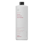 A4513_FR_Professional_Color Protect Shampoo_1000ml_01.jpg