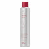 A4510_FR_Professional_Working Spray_300ml_01 1.jpg